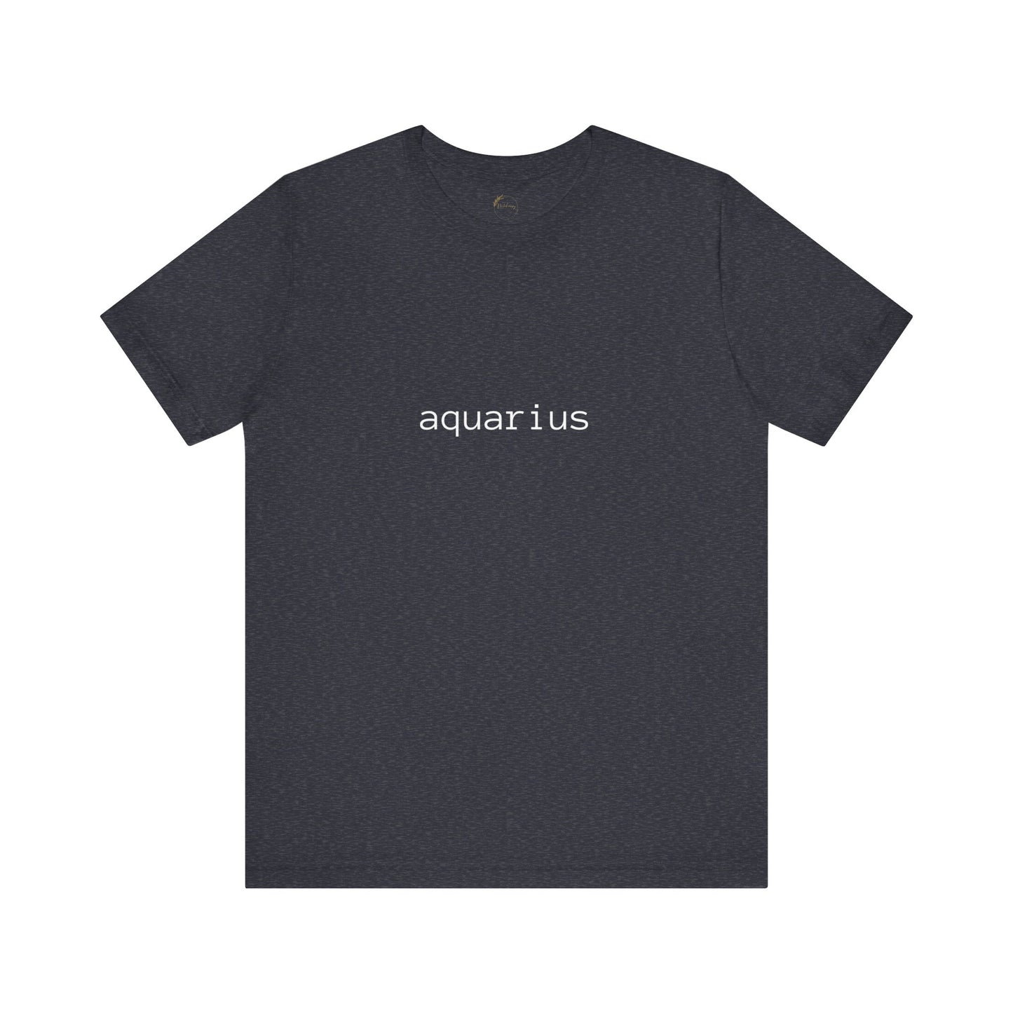 Aquarius Typewriter Zodiac Name T-Shirt