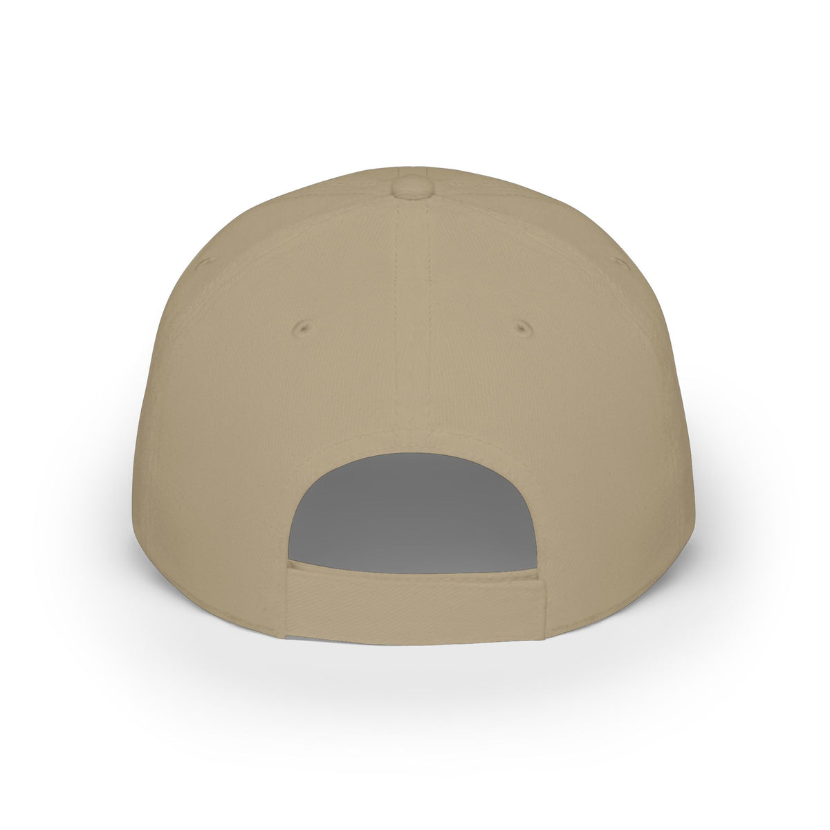 MicroEdge Solutions Low Profile Baseball Cap — White Logo