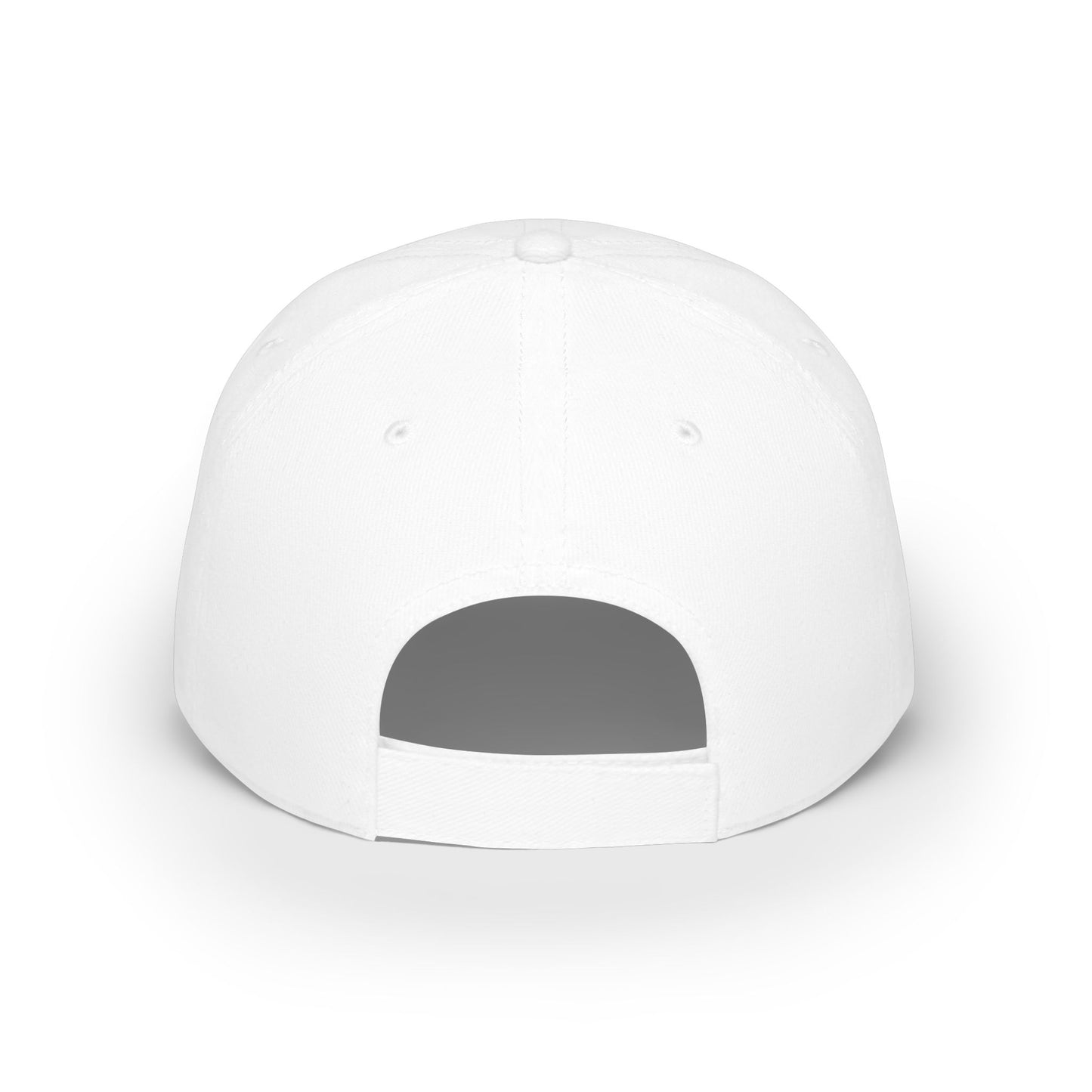 MicroEdge Solutions Low Profile Baseball Cap — Black Logo