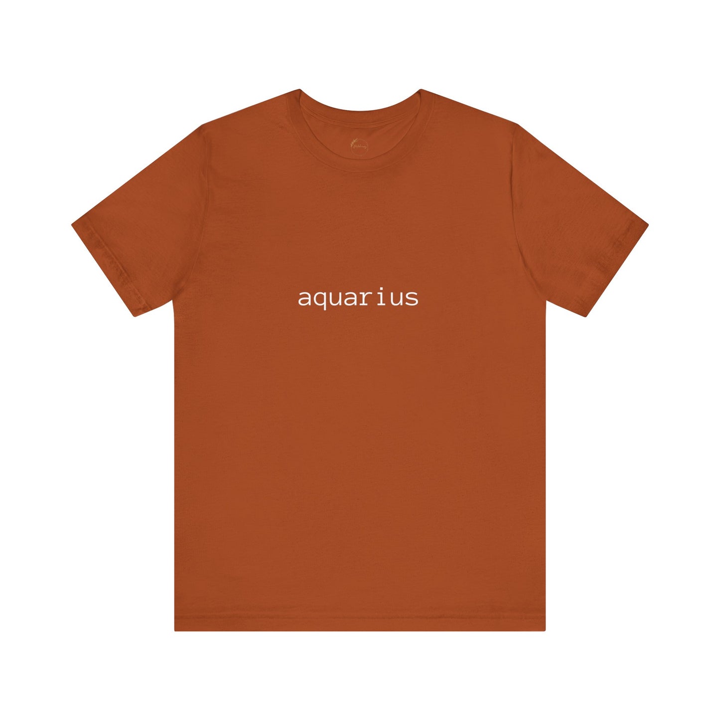 Aquarius Typewriter Zodiac Name T-Shirt