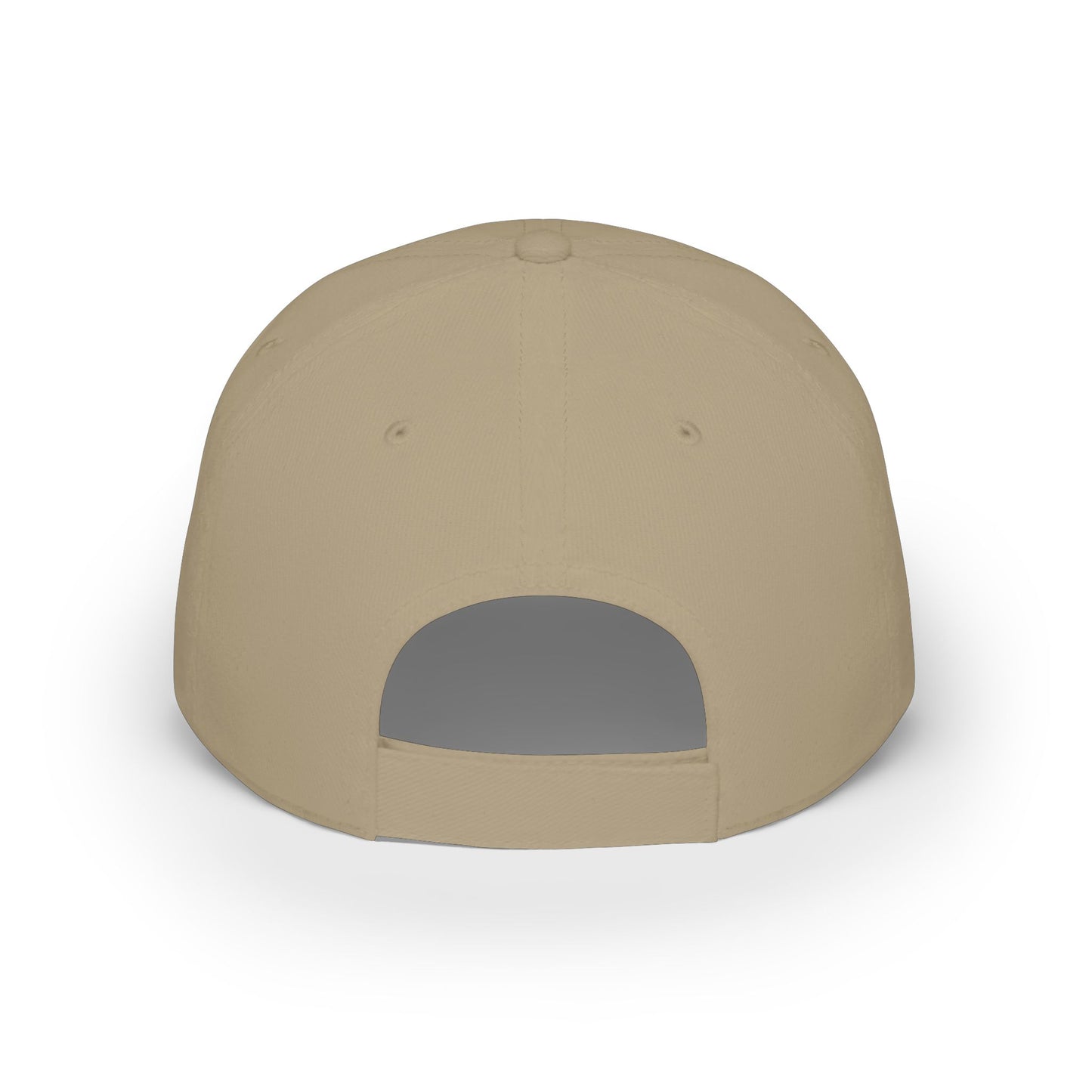 MicroEdge Solutions Low Profile Baseball Cap — Black Logo