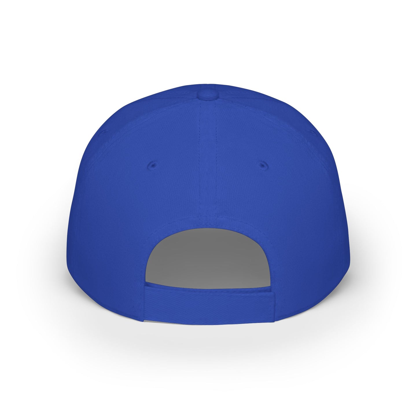 MicroEdge Solutions Low Profile Baseball Cap — Black Logo